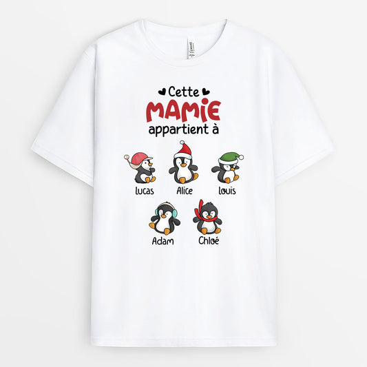 3079AFR1 cette mamie appartient a des manchots de noel t shirt personnalise mamie