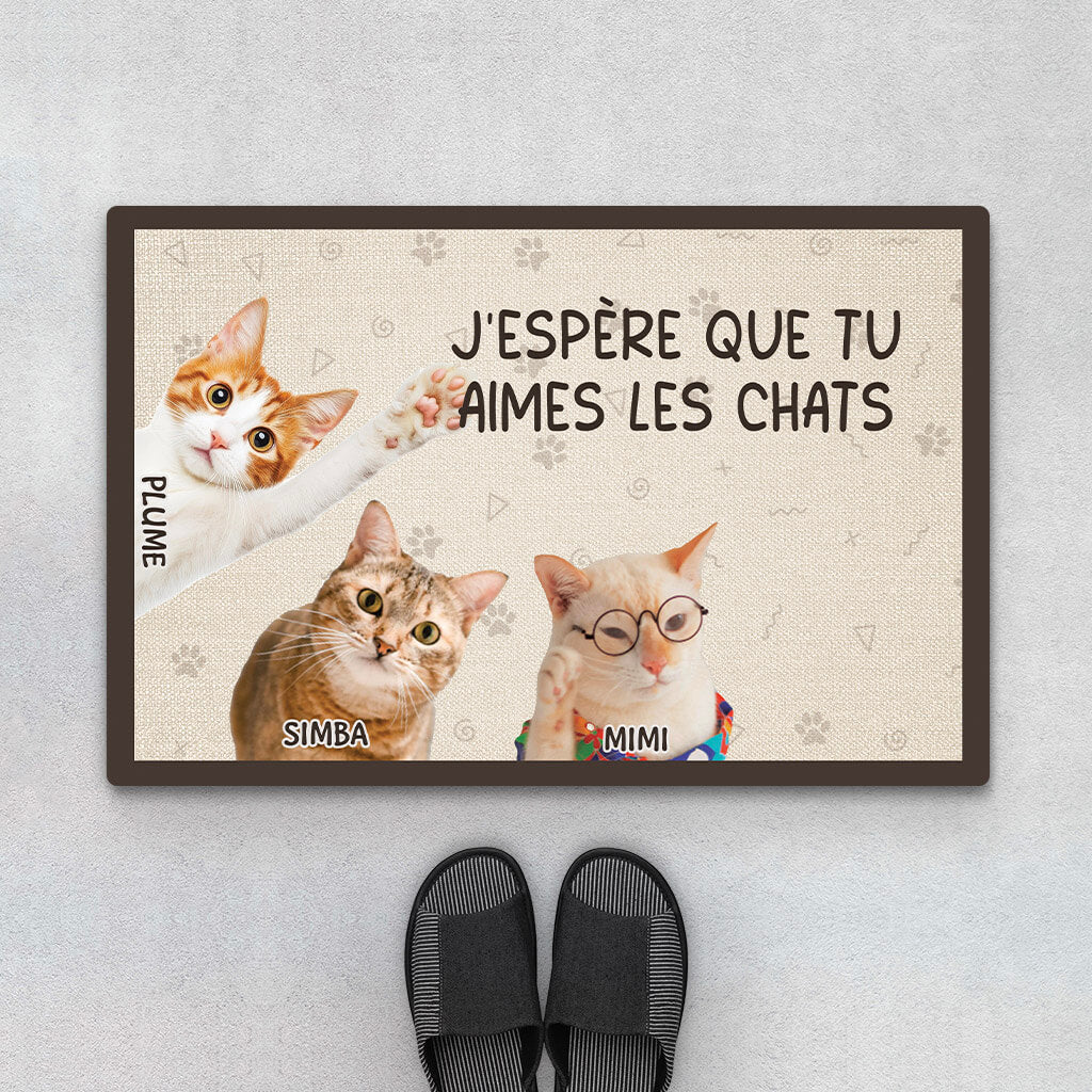 J'espère Que Tu Aimes Les Chats - Cadeau Personnalisé | Paillasson Pour Amoureux Des Animaux