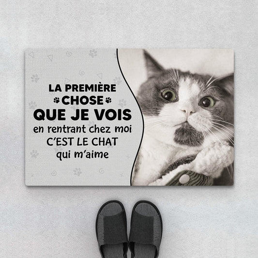 3550DFR1 la premiere chose que je vois en rentrant chez moi cest le chat qui m_aime paillasson personnalise chat