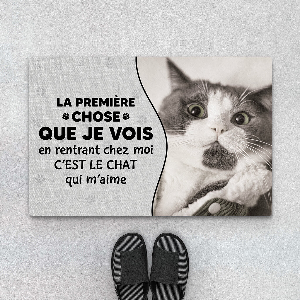 3550DFR1 la premiere chose que je vois en rentrant chez moi cest le chat qui m_aime paillasson personnalise chat_3d49e57a 2074 4530 a040 504f40d50121