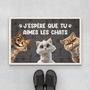 3872DFR1 paillasson personnalise aimer les chats 3872DTN5D