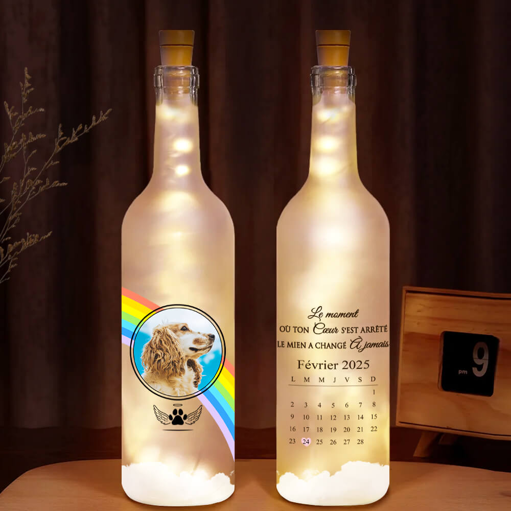 Le Moment Où Votre Cœur S'est Arrêté - Cadeau Personnalisé | Bouteille Lumineuse Pour Amoureuse Des Chiens