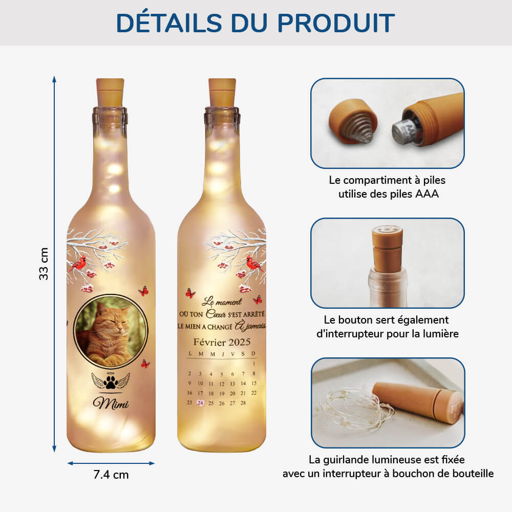 3904LFR2 bouteille lumineuse personnalisee cest le moment ou cadeau commemoratif chat 3904L_2fcfdaee 95c5 428b 958f faca3e686a8b