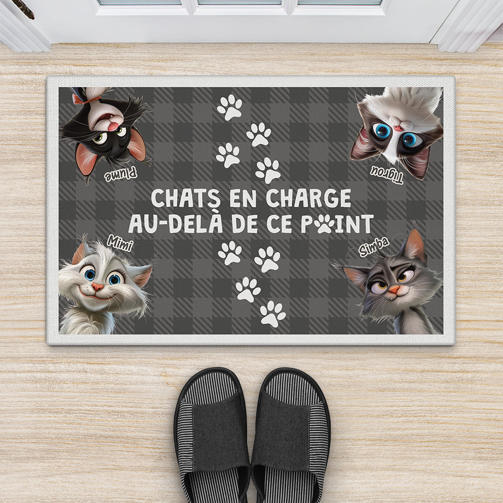 3947DFR2 paillasson chat personnalise chat en charge 3947dki5d