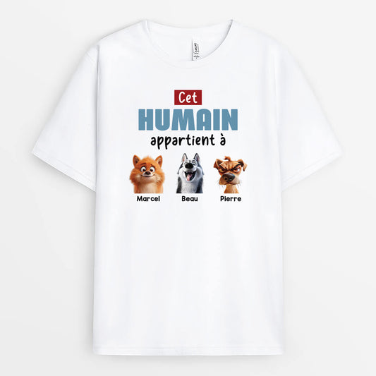 3989AFR1 tee shirt personnalise chien cet humain appartient a design cartoon  3989ATH5C