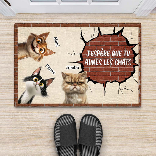 4264DFR2 mug chat personnalise nous gouvernons la maison mur en brique 4264dtt5d