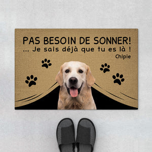 4291DFR1 paillasson personnalise chien pas besoin de sonner 4291d8q3c