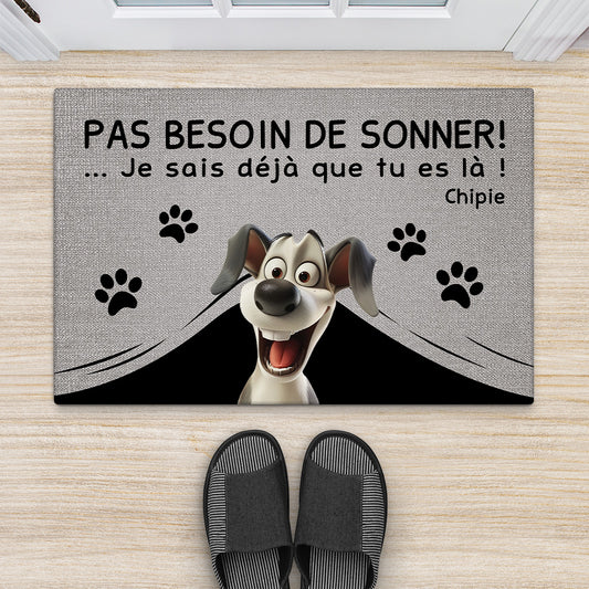 4334DFR2 paillasson chien personnalise pas besoin de frapper version vintage design cartoon 4334d8q5c