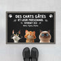 4414DFR1 paillasson personnalise chat dessin humour 4414d