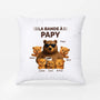 4675PFR2 coussin personnalise la bande a papy ours 4675p3t5b