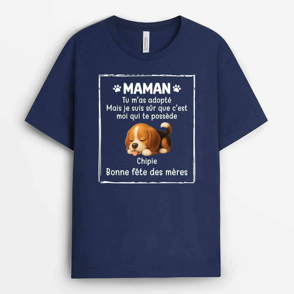 4878AFR2 tee shirt chien cadeau fete des peres personnalise c_est moi qui te possede 4878akymc