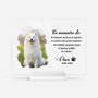 5148RFR1 plaque en acrylique personnalisee en memoire cadeau commemoratif chien 5148r8qnc