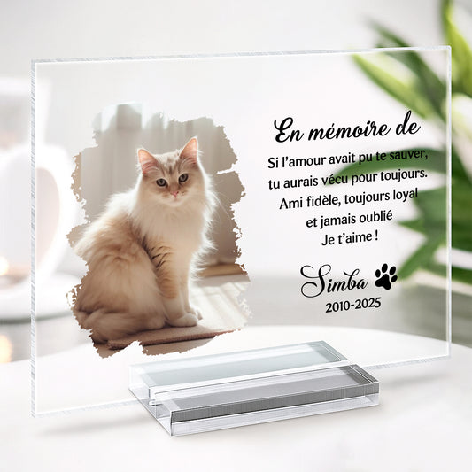 5148RFR2 plaque en acrylique personnalisee en memoire cadeau commemoratif chien 5148r8qnc
