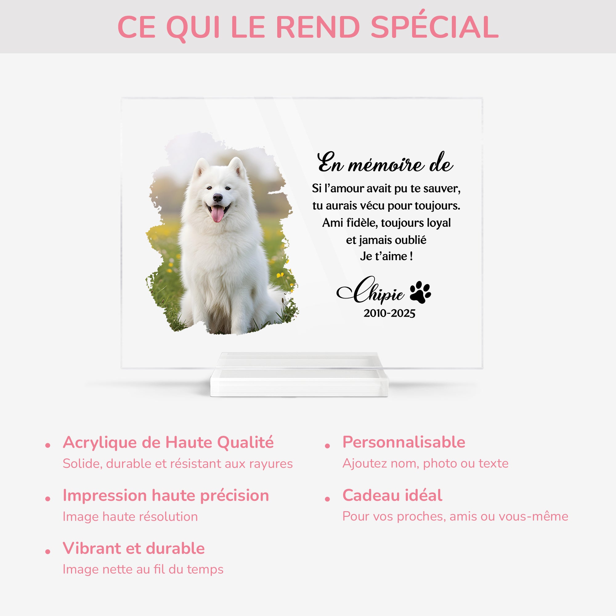 5148RFR5 plaque en acrylique personnalisee en memoire cadeau commemoratif chien 5148r8qnc
