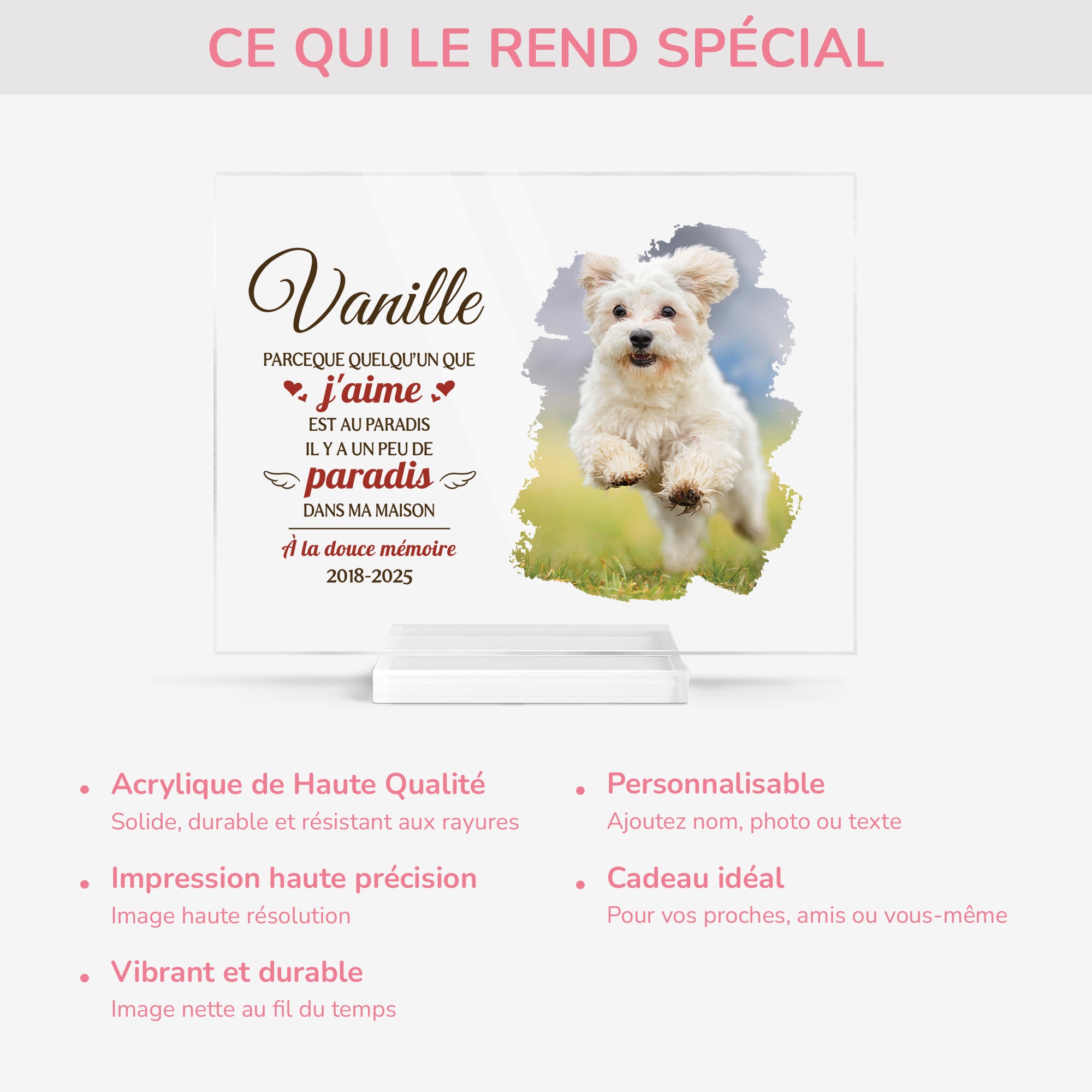5154RFR5 plaque en acrylique personnalisee paradis dans ma maison cadeau commemoratif chien 5154rttnc