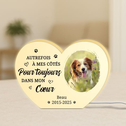 5251LFR1 lightbox personnalisable toujours dans mon coeur cadeau commemoratif chien 5251l8h5c_41e5af61 88d3 4e04 b38a e061051c8625