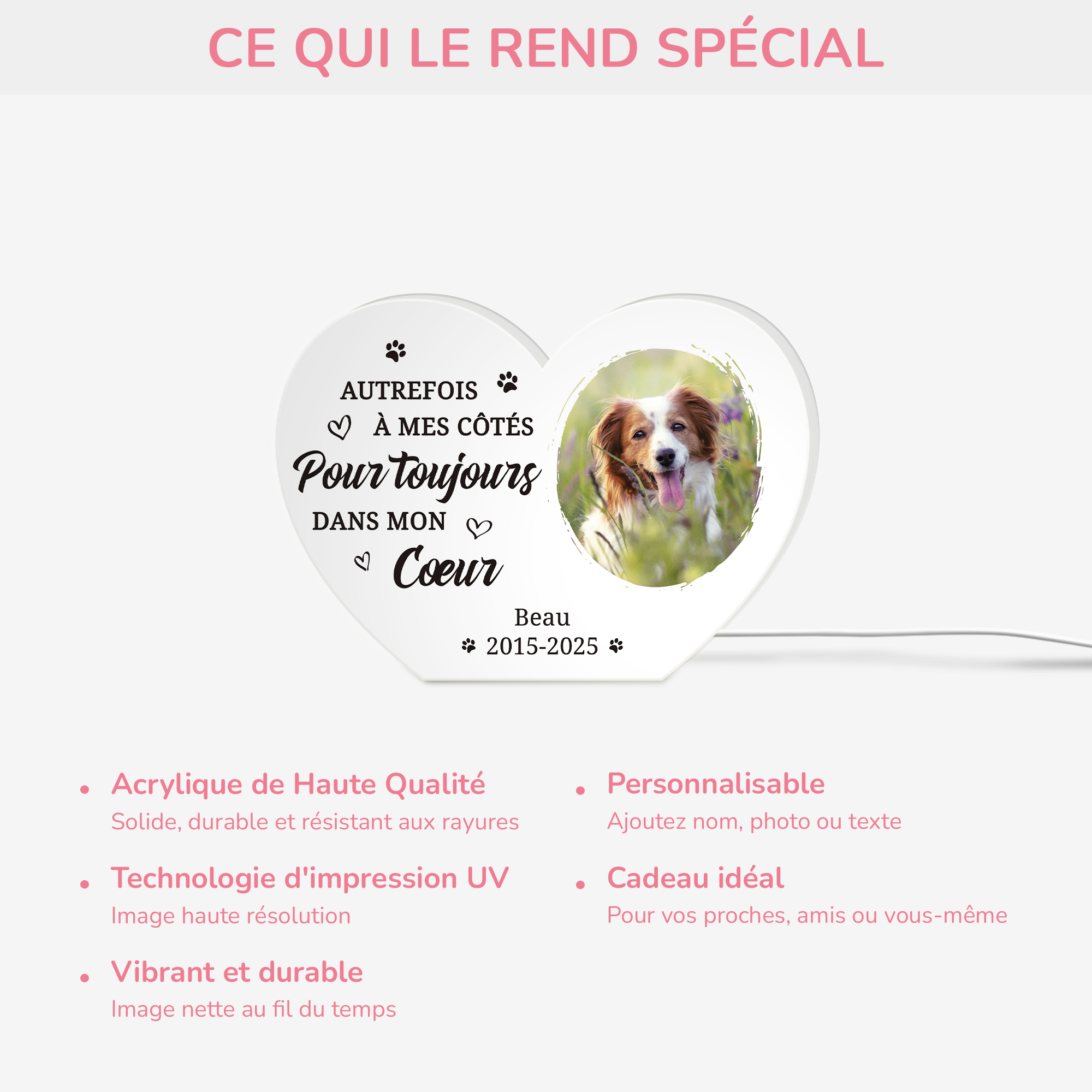 5251LFR4 lightbox personnalisable toujours dans mon coeur cadeau commemoratif chien 5251l8h5c_d332412c 5d3f 4130 8f91 7fa45f48b5a5