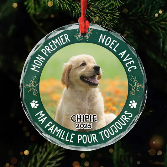 5353OFR1 orement en verre personnalise chien mon premier noel dans ma maison pour toujours 5353otgmc_abb38a47 d08a 4eda 9341 90b06e11dfa7