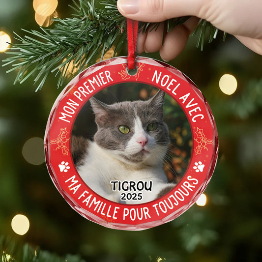 5353OFR2 orement en verre personnalise chien mon premier noel dans ma maison pour toujours 5353otgmc_902f0a4b d772 4741 bfe9 621d1a56ad24