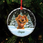 5379OFR1 ornement en verre noel chien sapin personnalise photo 5379okqmc