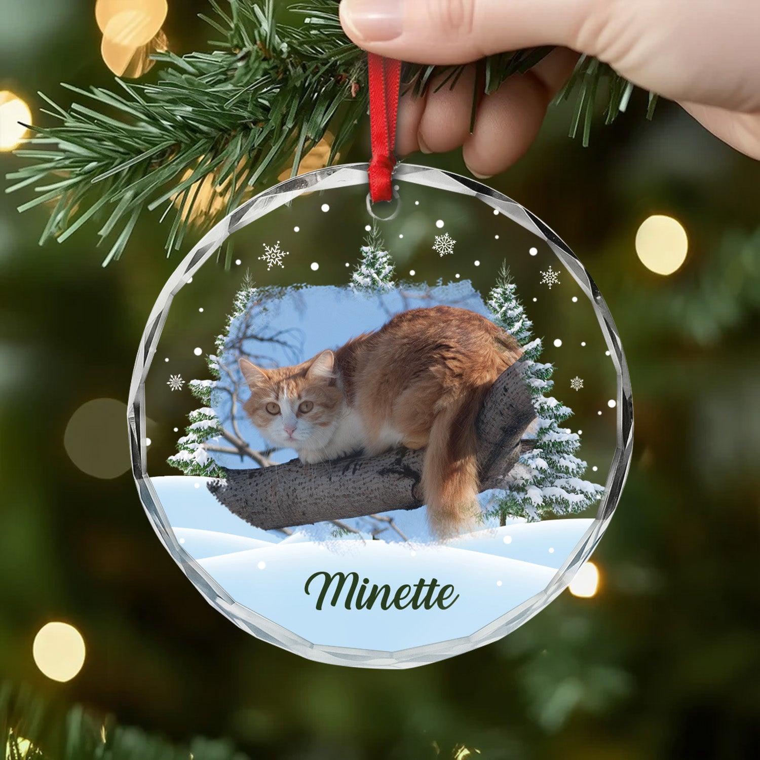5379OFR2 ornement en verre noel chat sapin personnalise photo 5379okqmd