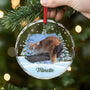5379OFR2 ornement en verre noel chat sapin personnalise photo 5379okqmd