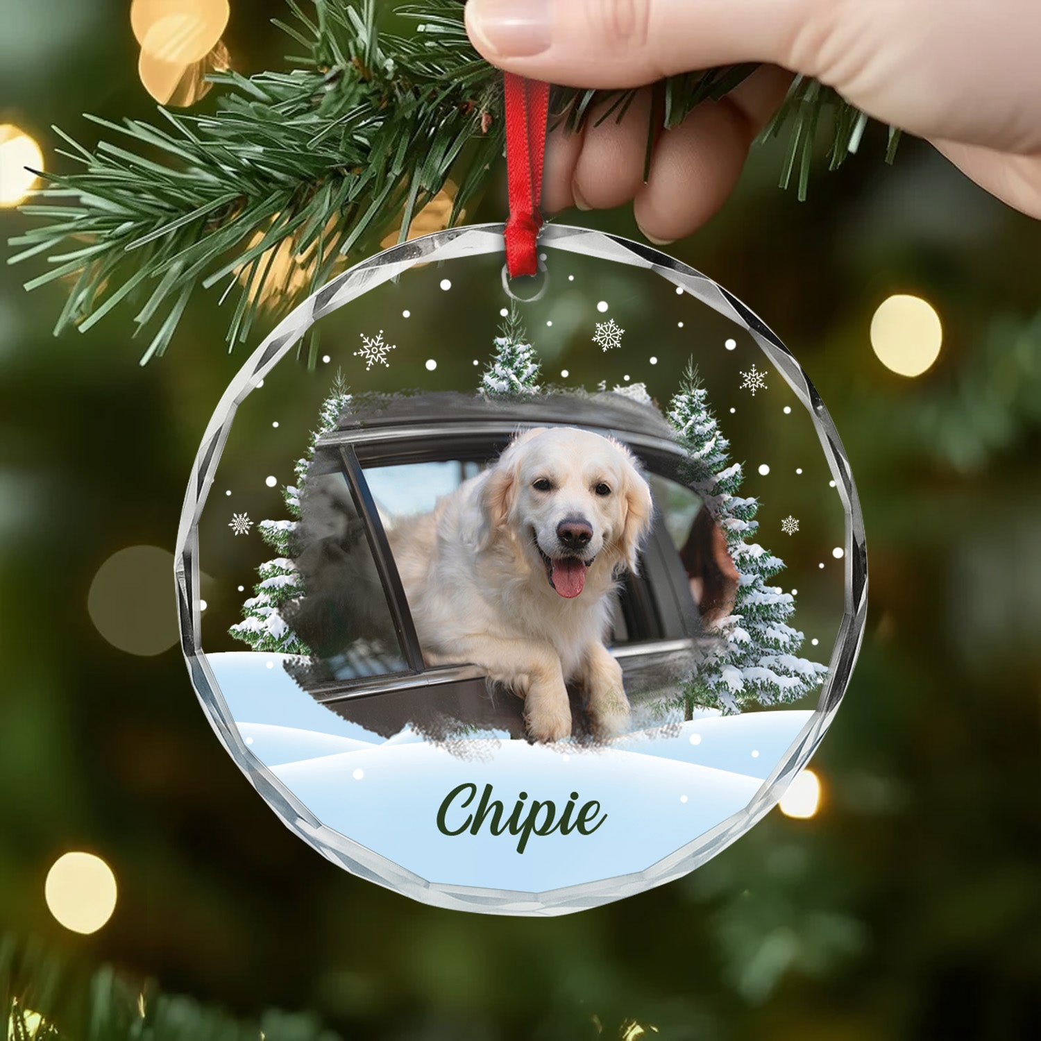 5379OFR2 ornement en verre noel chien sapin personnalise photo 5379okqmc