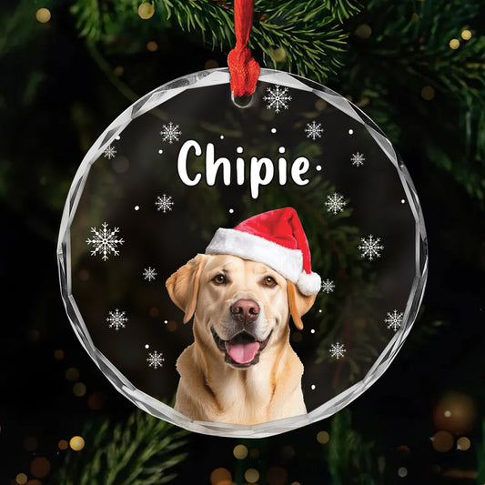 5388OFR1 ornement en verre bonnet de noel personnalise chien 5388o6vcc