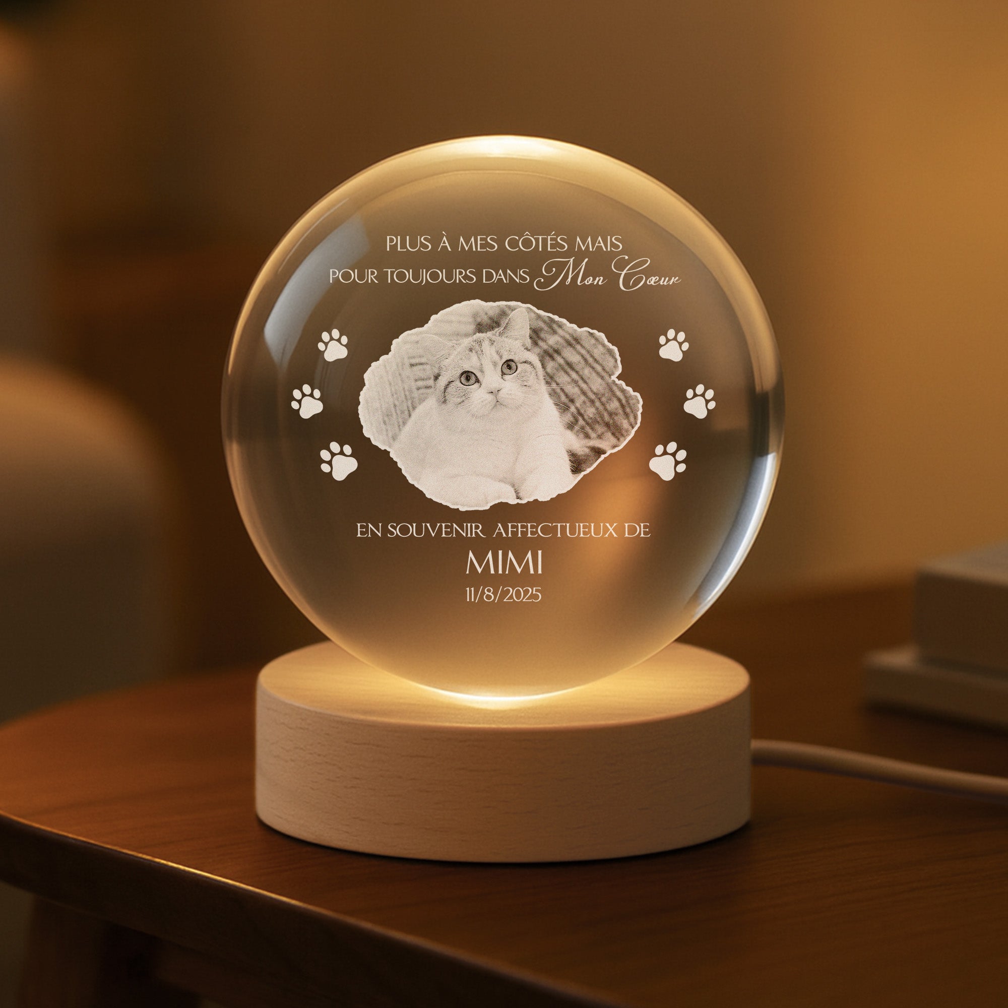 5408LFR2 veilleuse boule de cristal personnalisee avec photo commemorative chat toujours dans mon coeur 5408lkq5d_6ecef949 9e71 4672 92ac b39f49a3e67c