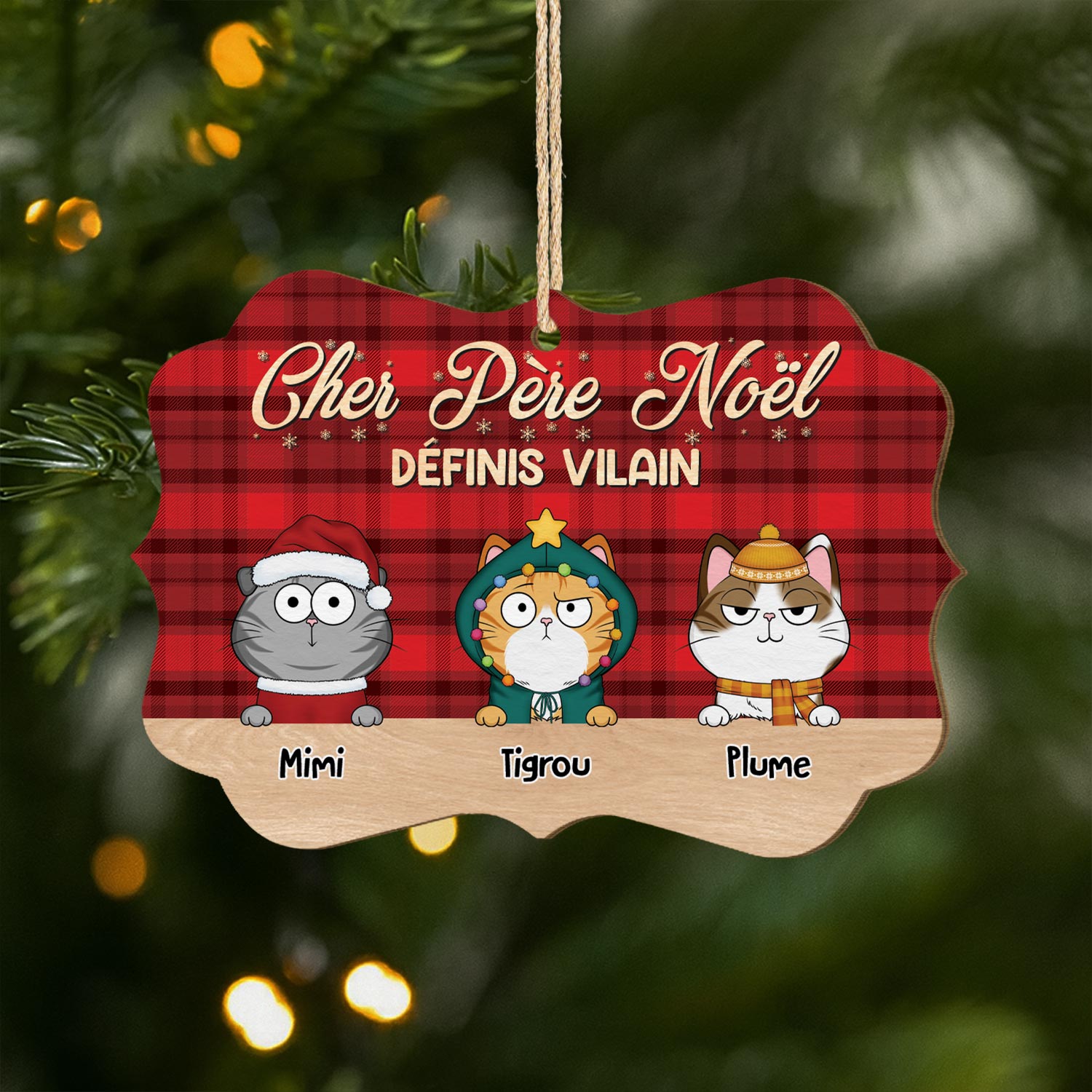 Cher Père Noël, Définis ‘vilain