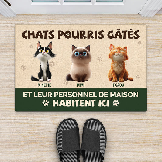5536DFR2 paillasson personnalise chat chat gate pourri 5536dtqad_9fbb2f2c 4474 421e b0bb 83032e152e15