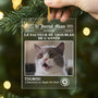 5560OFR2 ornement en acrylique personnalise chien avec photo le journal wouf 5560ottqc