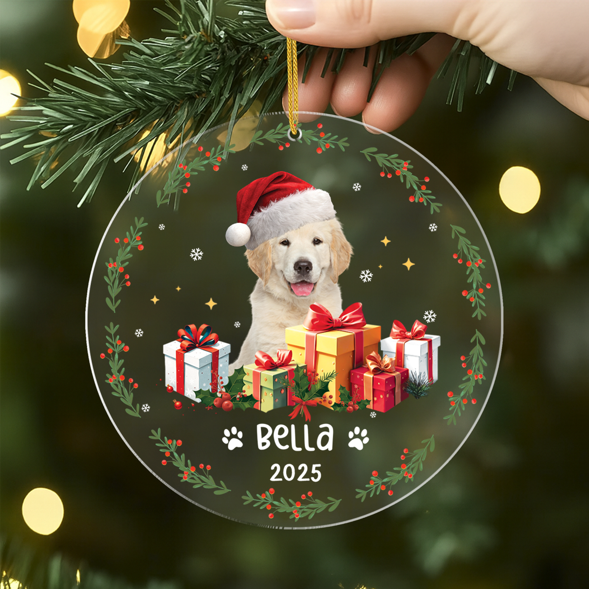 5571OFR2 ornement acrylique personnalise avec photo le noel de mon chat 5571okz5d