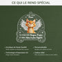 5647OFR4 ornement acrylique chat commemoratif personnalise avec photo mon adieu le plus difficile 5647okyzd