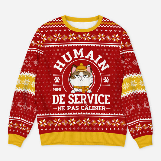5943WFR1 pull de noel moche personnalise avec chat humain de service 5943wkknd