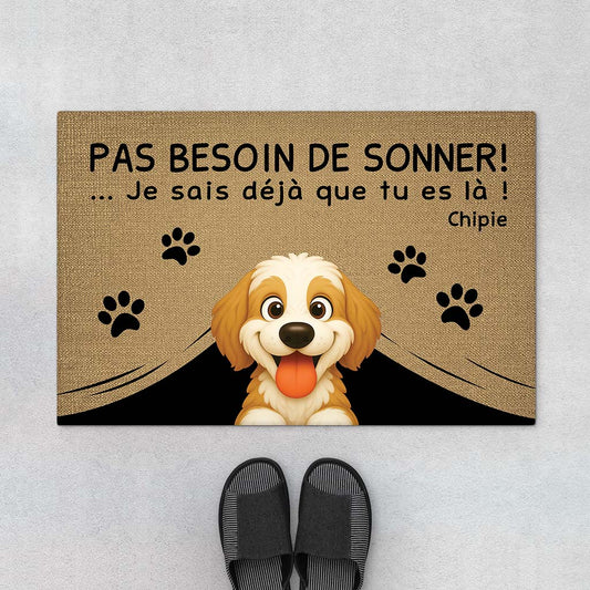 5969DFR1 paillasson personnalise chien pas besoin de sonner 5969dkz0c