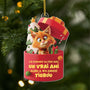 6098OFR1 effet dimpression 3d ornement acrylique personnalise pere noel a envoye un chat 6098oklad
