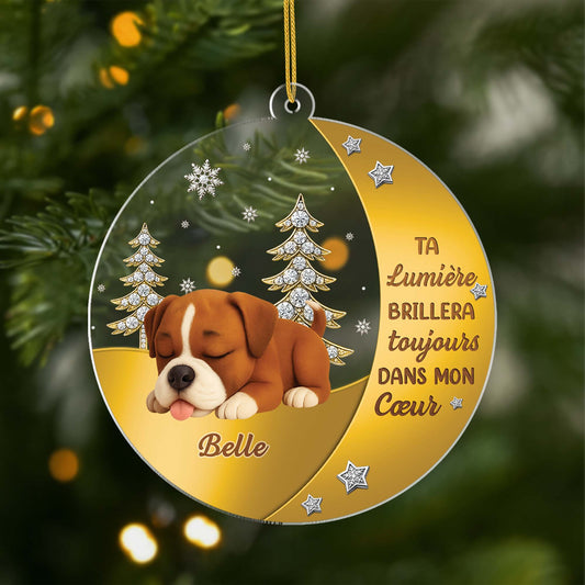 6215OFR1 ornement acrylique personnalise commemoratif pour chien ta lumiere brillera toujours 6215o6stc