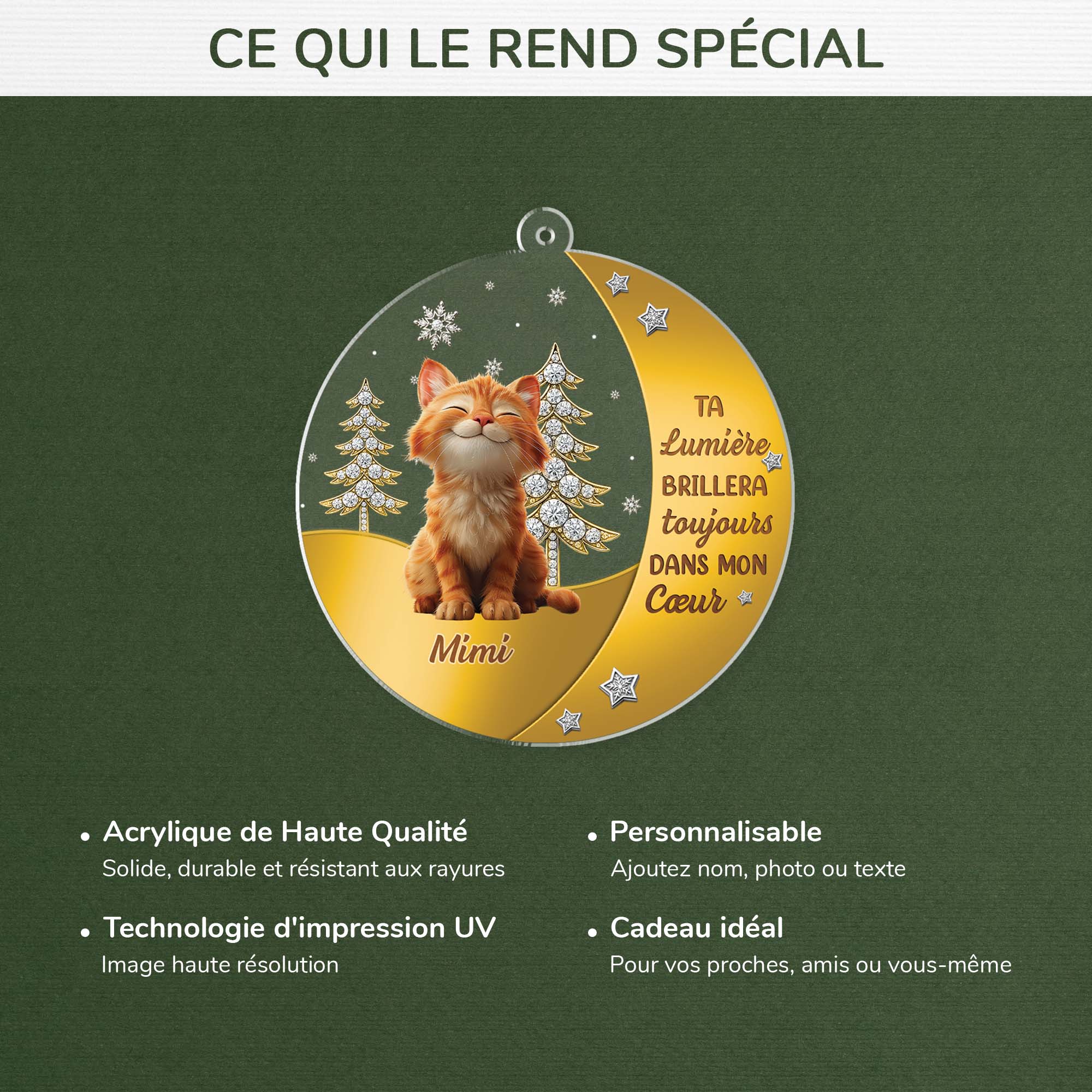 6215OFR4 ornement acrylique personnalise commemoratif pour chat ta lumiere brillera toujours 6215o6std