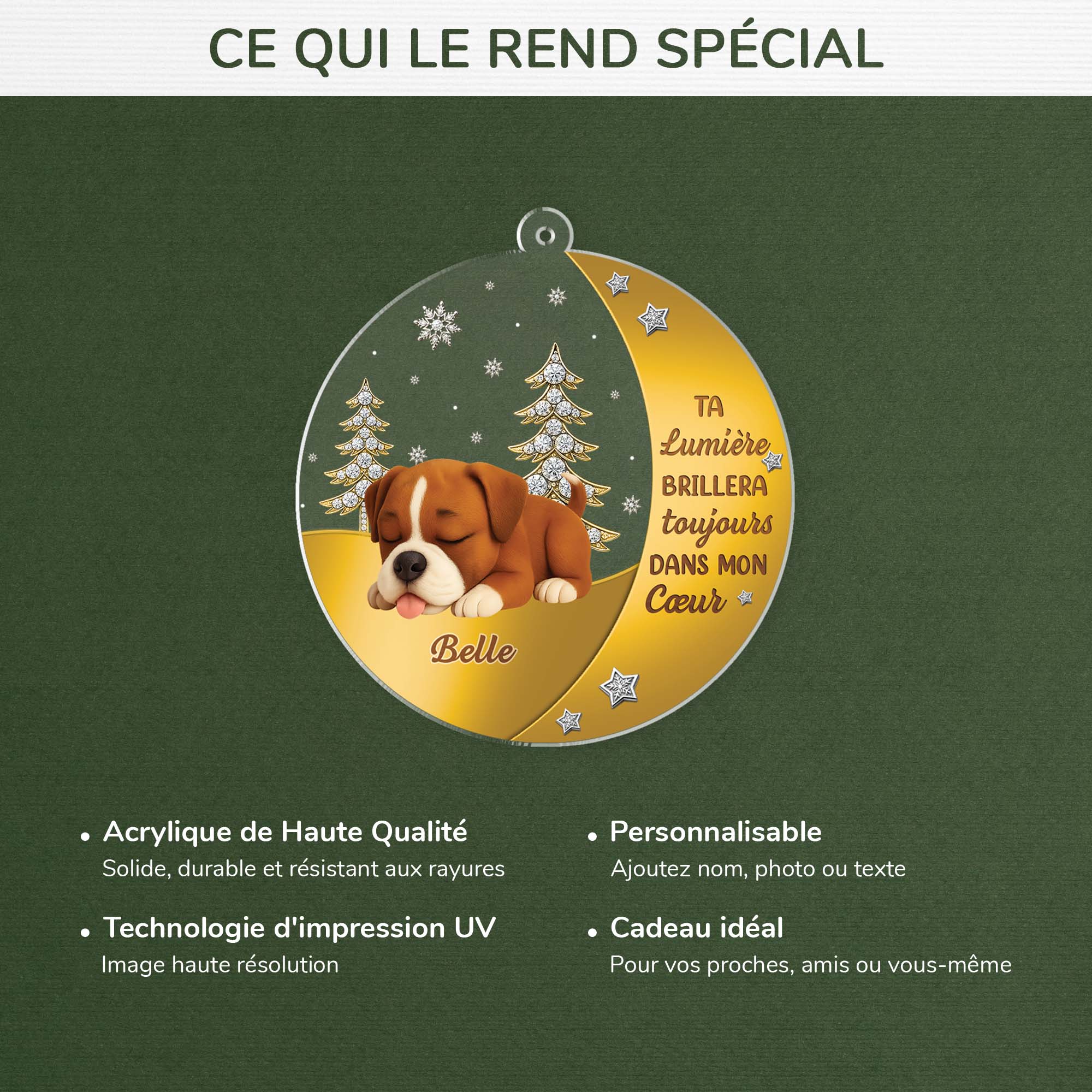 6215OFR4 ornement acrylique personnalise commemoratif pour chien ta lumiere brillera toujours 6215o6stc