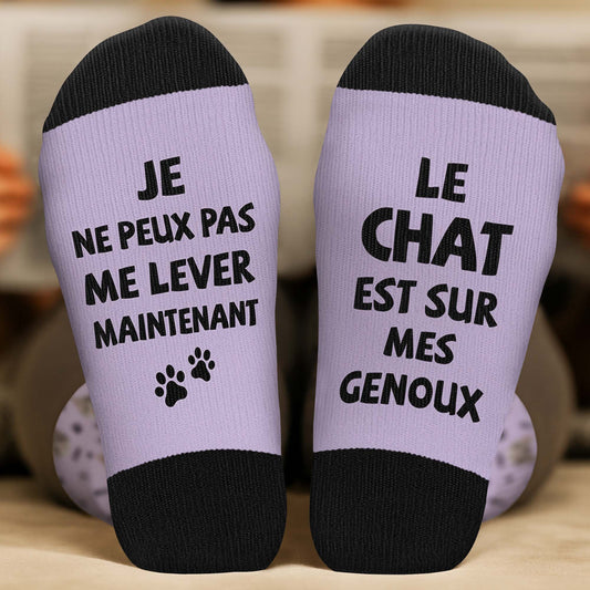 6223JFR2 chaussettes personnalisees le chien est sur mes genoux 6223j6xmc
