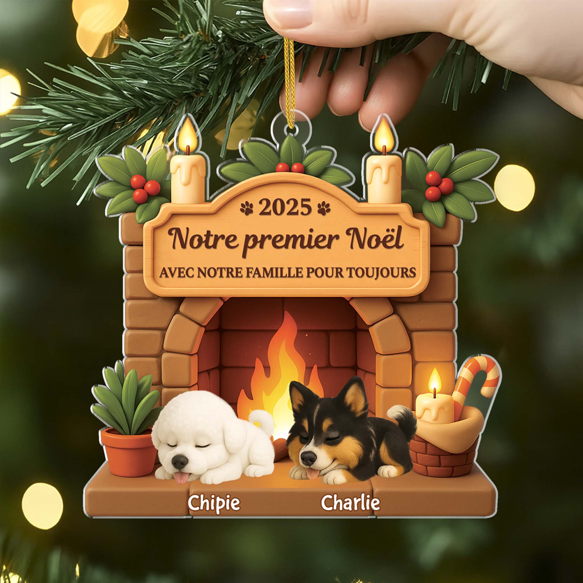 6225OFR2 effet dimpression 3d ornement acrylique personnalise premier noel chien avec ma famille pour toujours 6225o8ttc
