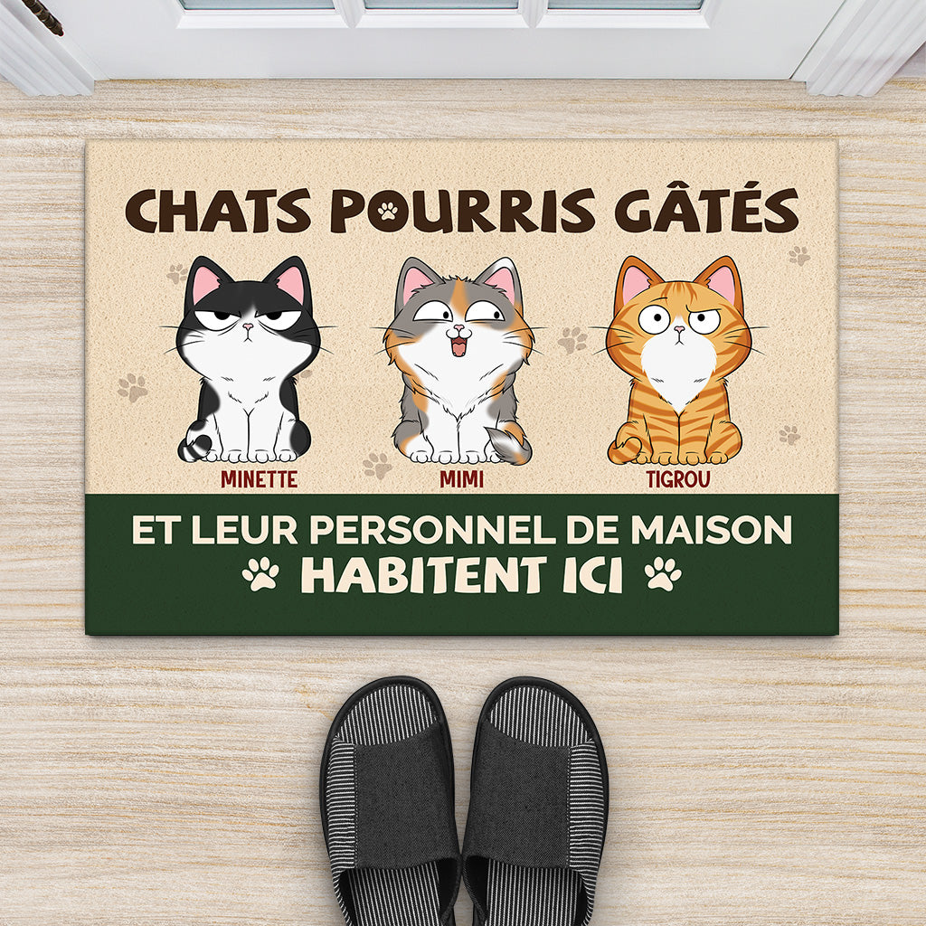 6314DFR2 paillasson personnalise mon chat gate pourri 6314dtq5d_c3d818f7 a176 4e29 9c3d 776903962069