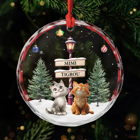 6439OFR1 ornement en verre personnalise joyeux noel avec chat 6439o8h5d