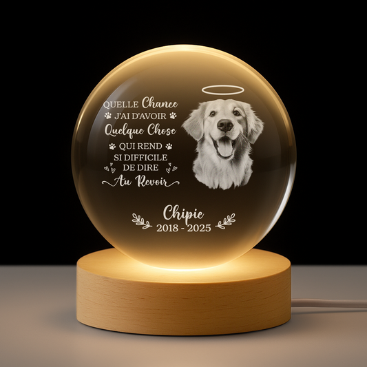 6459LFR1 veilleuse boule de cristal personnalisee chien commemorative avec photo difficile de dire au revoir 6459lkpmc