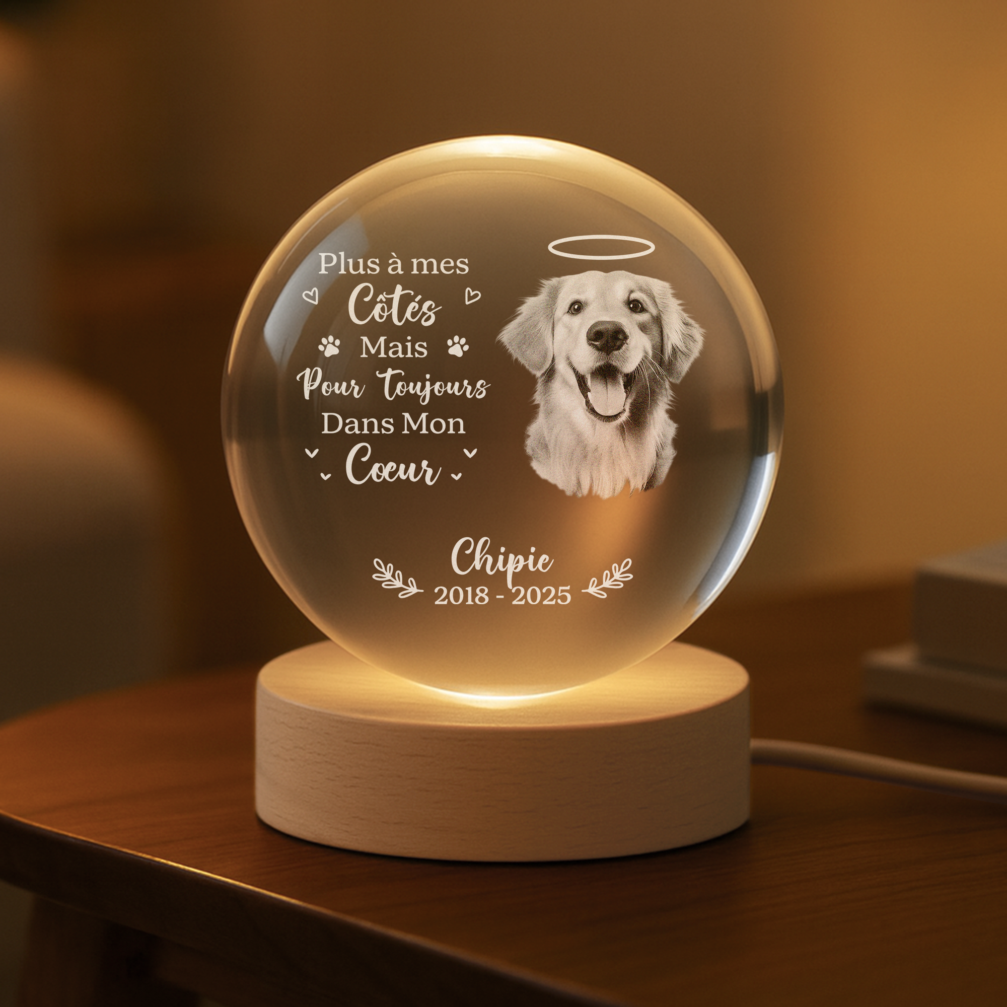 6459LFR2 veilleuse boule de cristal personnalisee chat commemorative avec photo difficile de dire au revoir 6459lkpmc