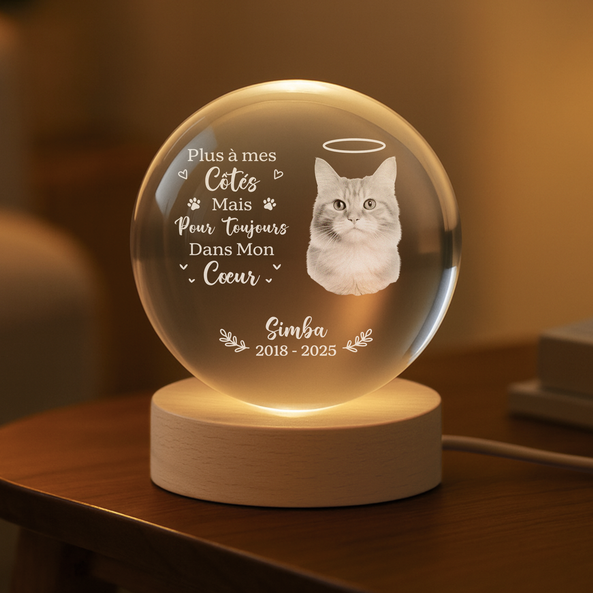 6459LFR2 veilleuse boule de cristal personnalisee chien commemorative avec photo difficile de dire au revoir 6459lkpmc