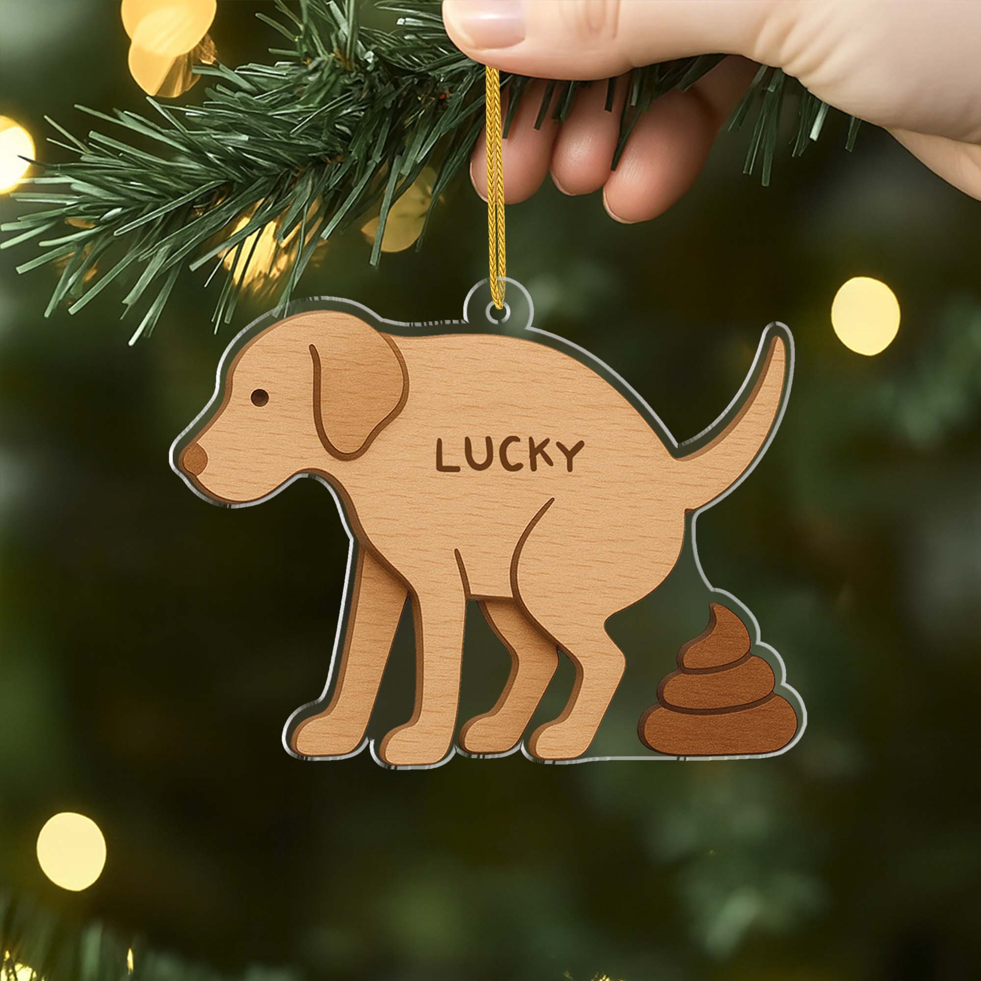 6727OFR2 effet dimpression 3d ornement noel acrylique personnalise chien fait caca 6727o3zqc