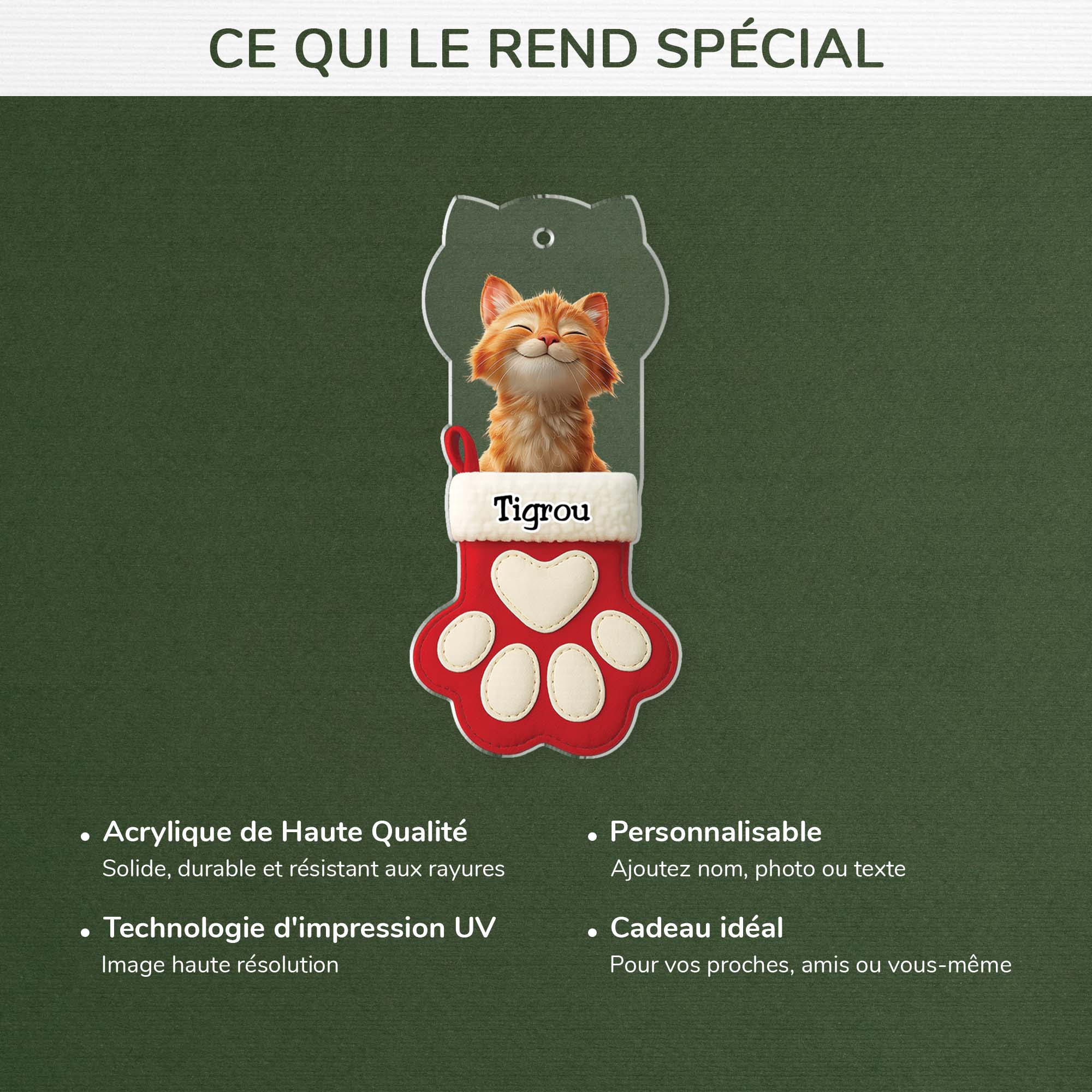 6731OFR4 ornement acrylique personnalise avec photo cadeau chat pour noel 6731otzad