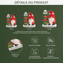6971OFR3 ornement noel acrylique personnalise famille gnome avec prenoms 6971ottmi